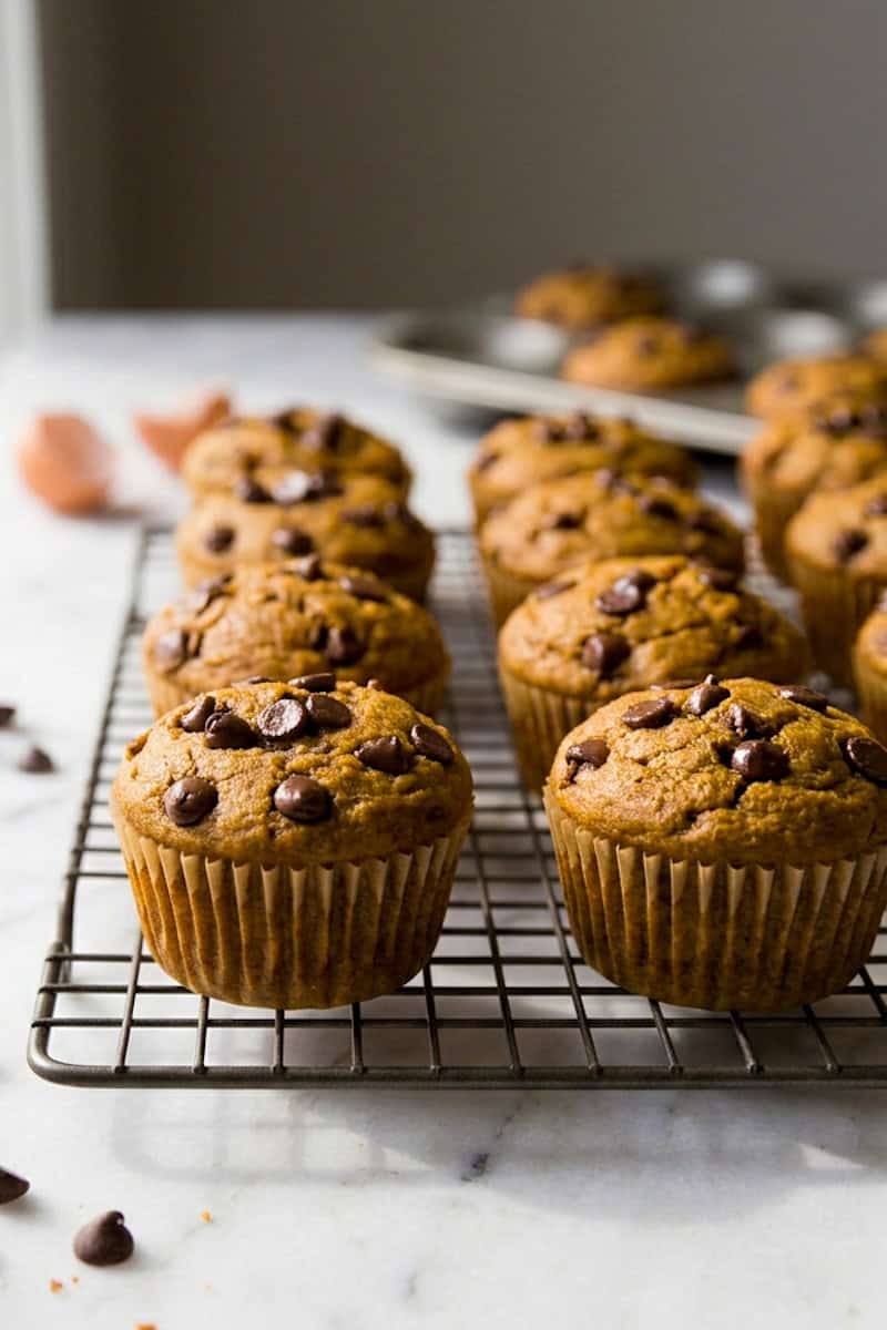Pumpkin muffin broken open to show its soft center and melted chocolate chips