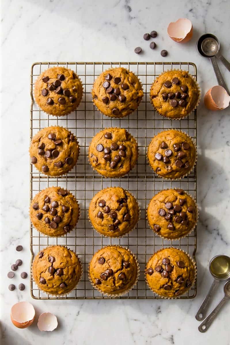 Pumpkin muffin broken open to show its soft center and melted chocolate chips