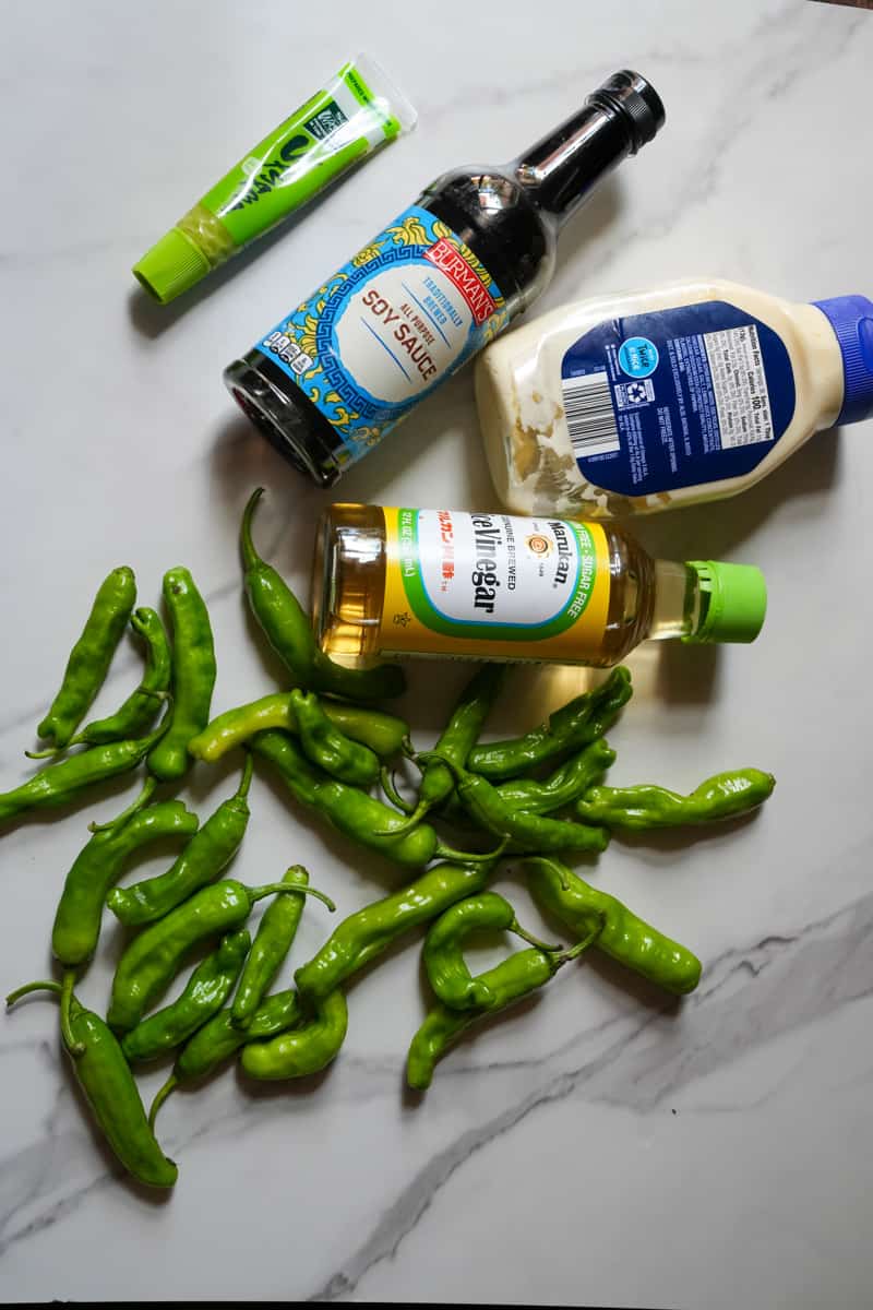 This Shishito Peppers Recipe is made with a delicious dipping sauce made of mayonnaise, soy sauce, rice vinegar, and wasabi.