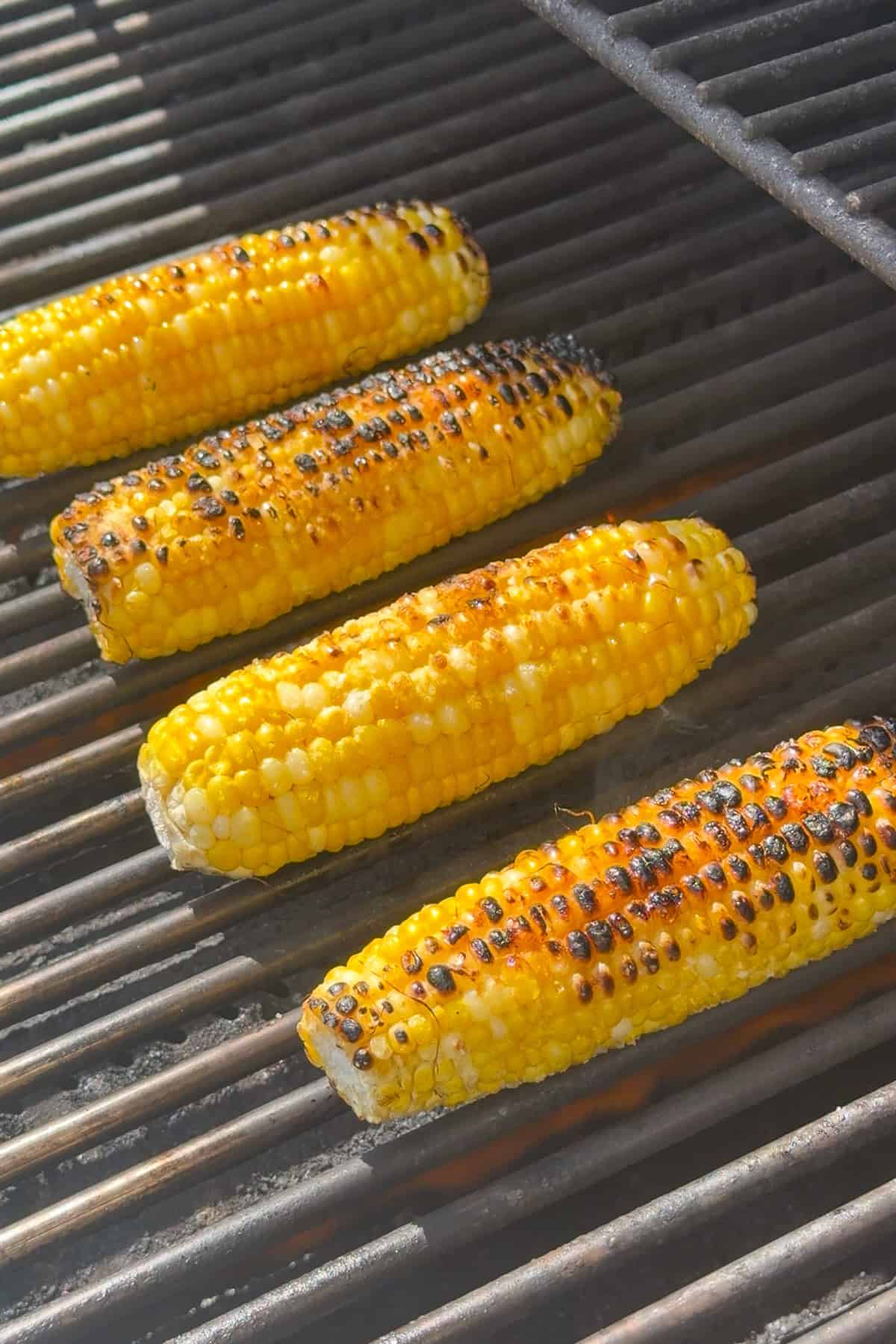 Grilled corn for Mexican Street Corn Shrimp Salad