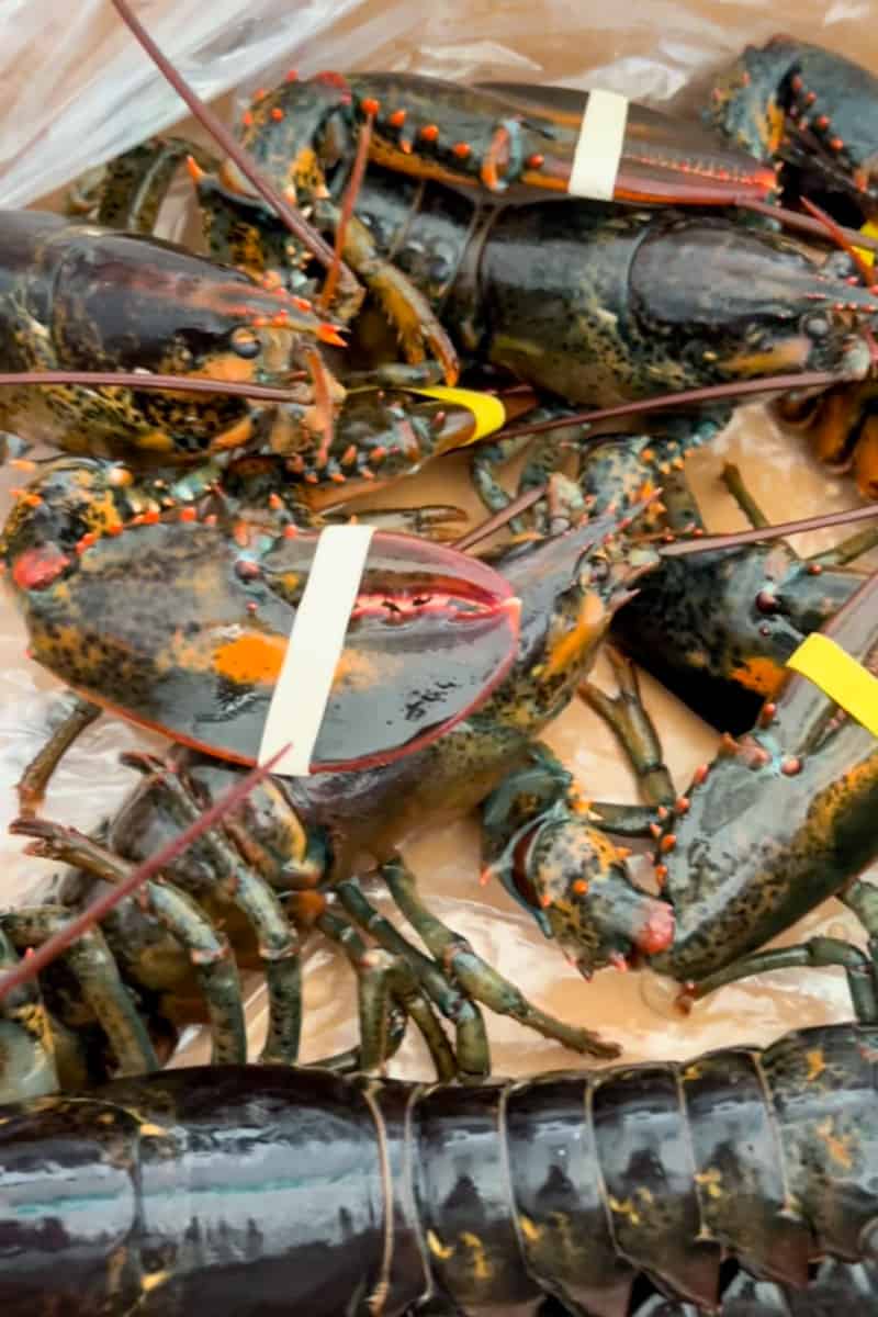 Allow 3 quarts of water per 1 pound lobster. Add ¼ cup of salt for each 4 quarts of water. 