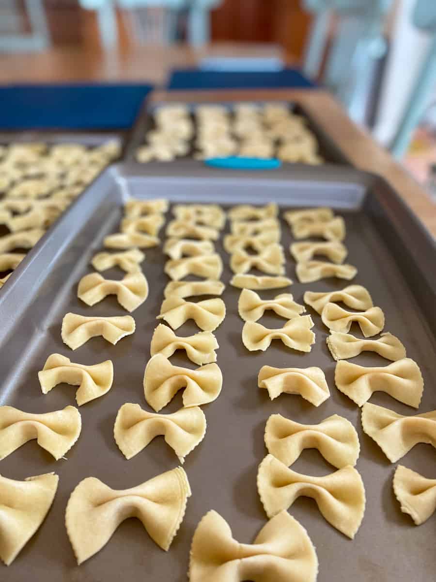 The Best Pasta Dough for Kitchenaid Mixer Cilantro Parsley