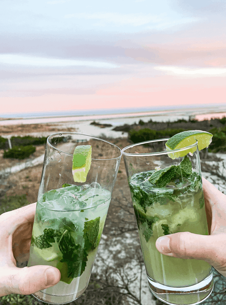 Mojitos are a traditional Cuban drink which are made with white rum, club soda, sugar, limes, mint, and ice. 