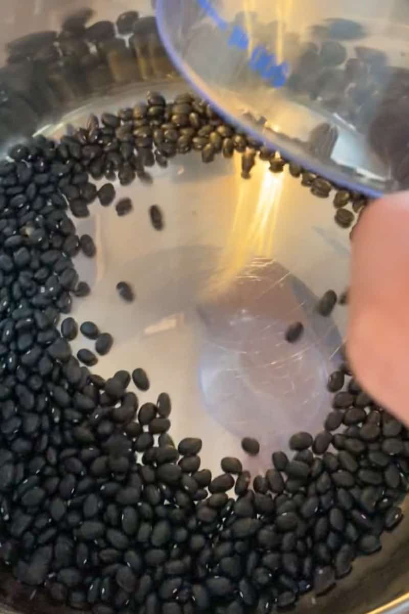 Rinse and sort the black beans: Rinse the dried black beans under cold water, removing any debris or stones. Add beans to the Instant Pot: Place the rinsed black beans into the Instant Pot.