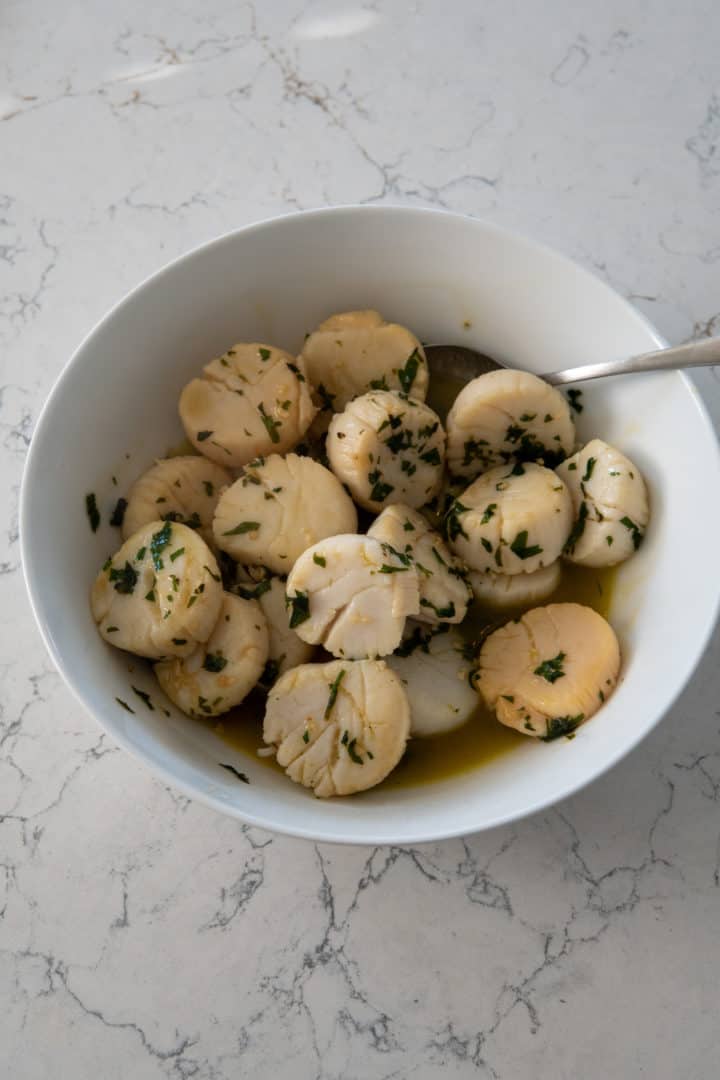 This Sautéed Scallops Recipe is made with scallops, olive oil, garlic, lemon juice, garnished with parsley and seared to perfection.