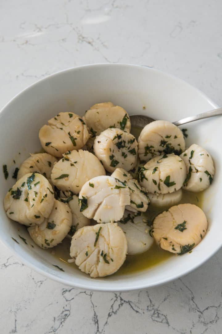 This Venetian-Style Scallops is made with scallops, olive oil, garlic, lemon juice, garnished with parsley and seared to perfection.