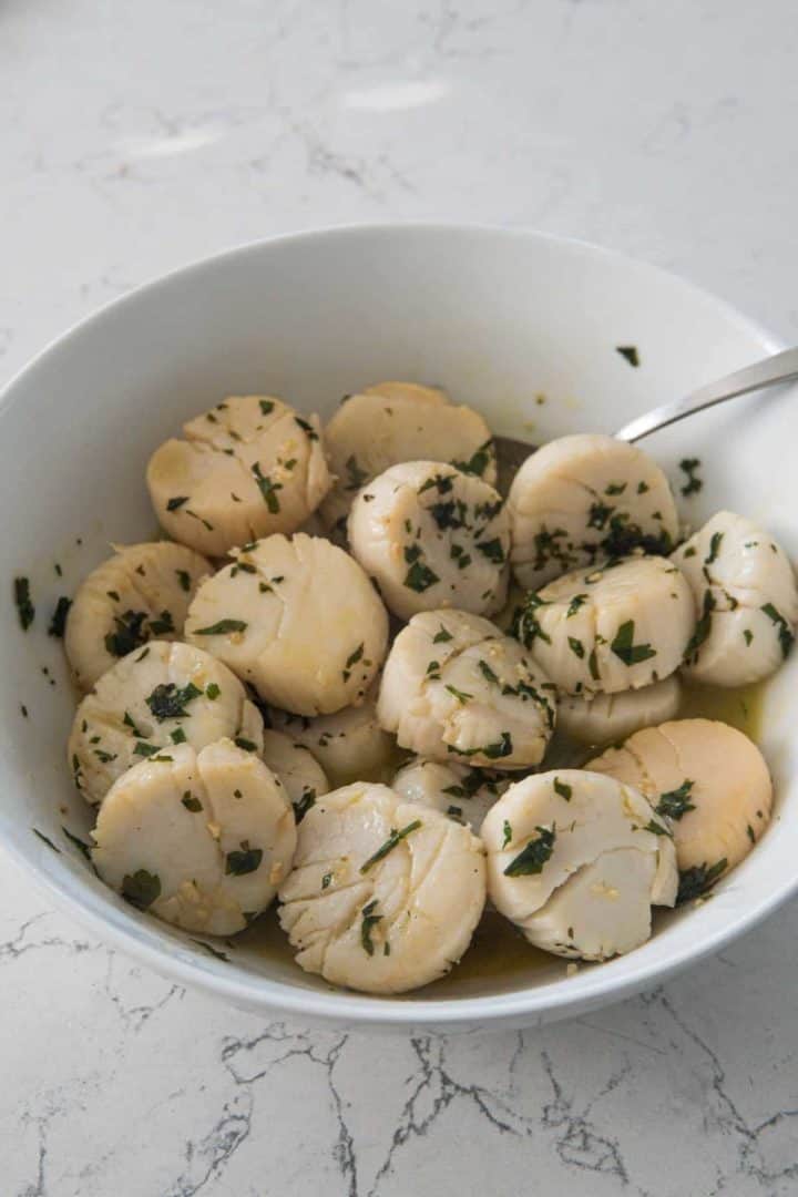 This Venetian-Style Scallops is made with scallops, olive oil, garlic, lemon juice, garnished with parsley and seared to perfection.
