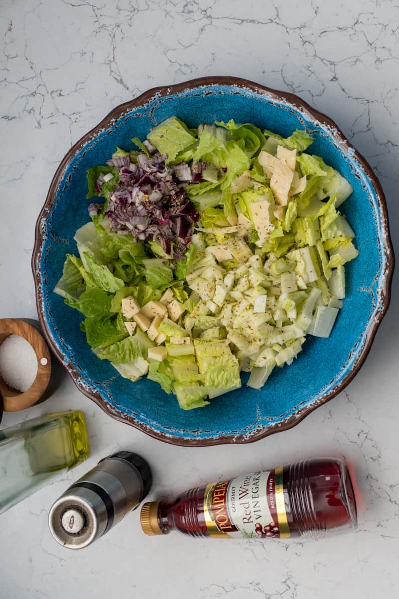 This Fennel Salad Recipe is made with olive oil, red wine vinegar, oregano, fennel, red onion, parmesan and tossed in chopped romaine.