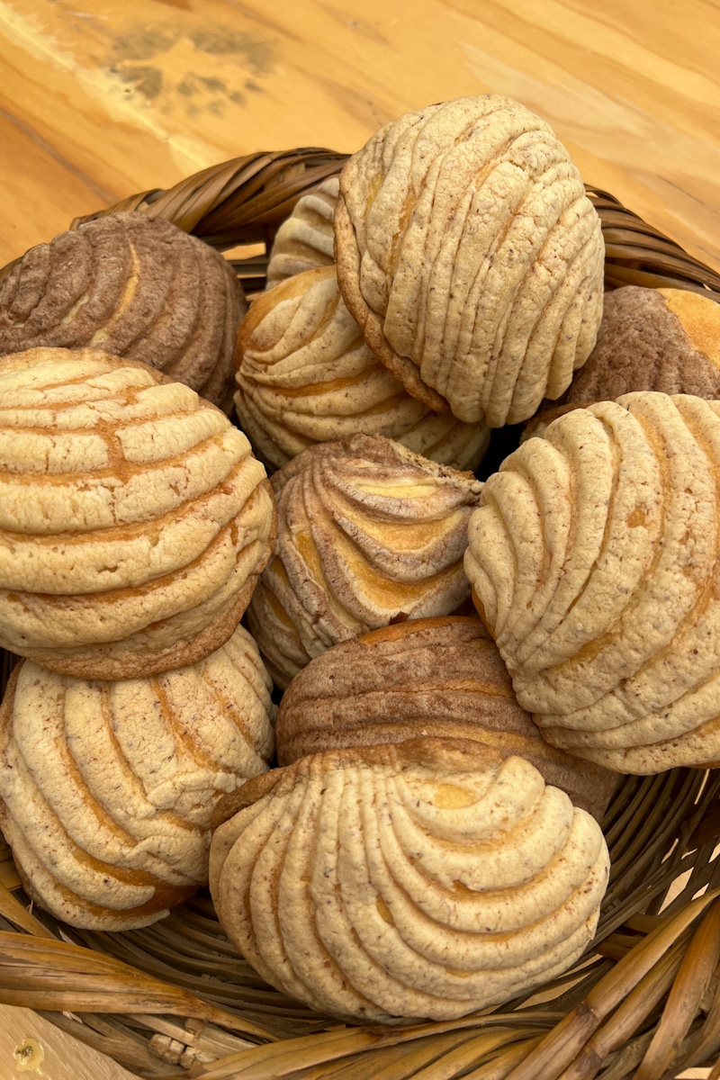 Bake in the oven at 325°F for 20 minutes, or until the bottom of the conchas are slightly golden. Enjoy this Mexican Conchas Recipe (Pan Dulce).