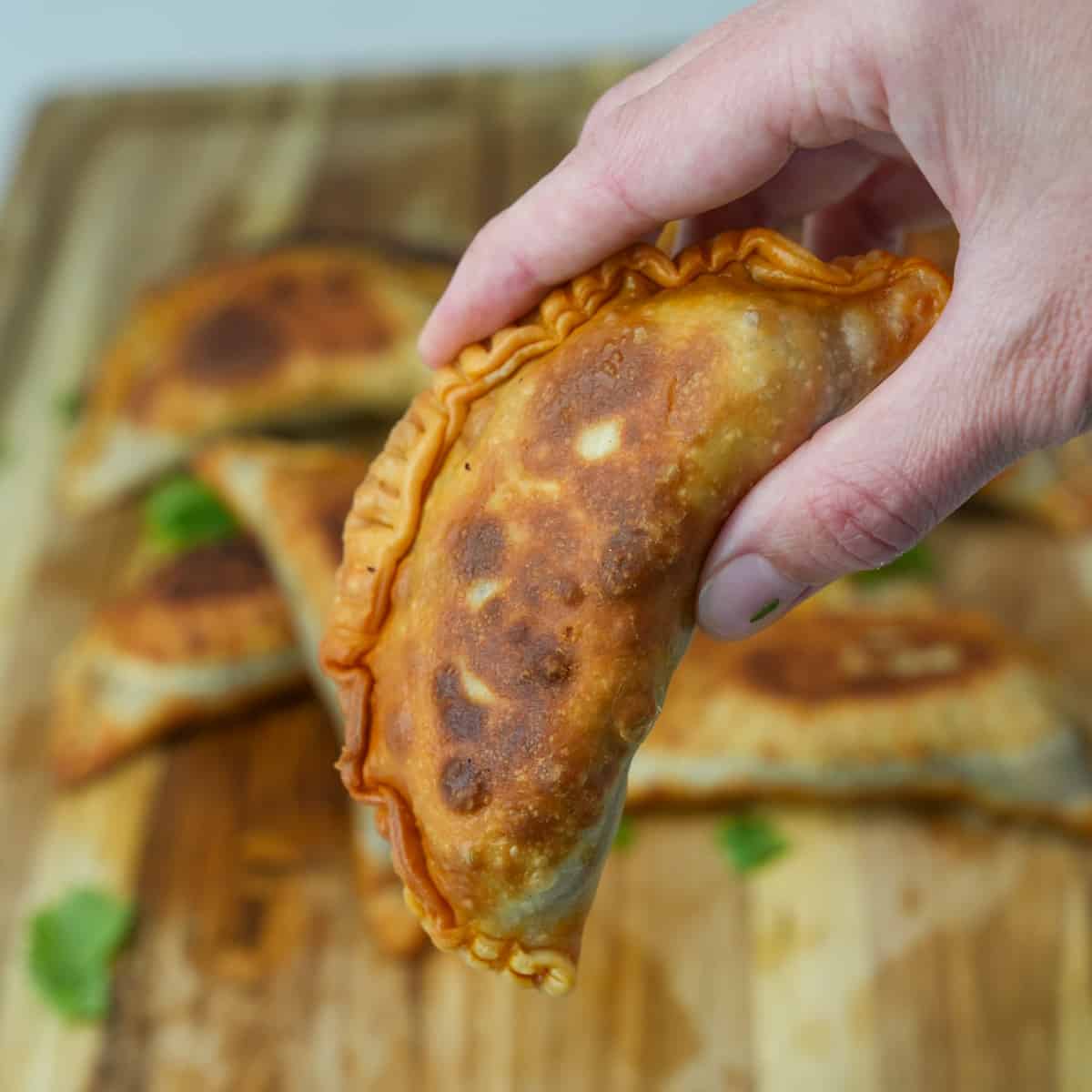 Savor the fusion of flavors with our Birria Empanadas: golden, flaky pastry envelopes filled with tender, savory birria meat, melding traditional Mexican spices with the comfort of handheld indulgence.